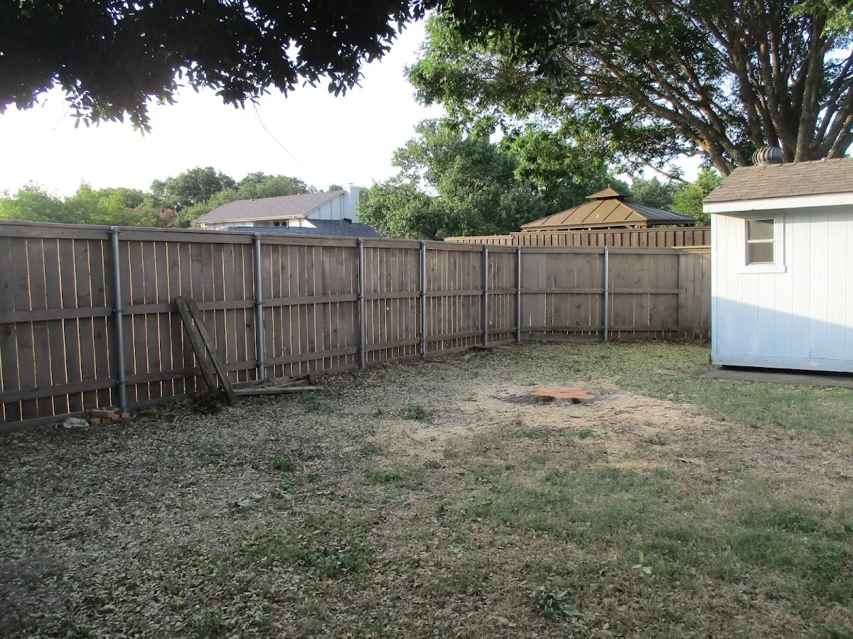 Cleared yard after professional tree removal in Roanoke